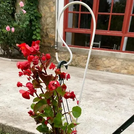 Albergue De Peregrinos El Convento Hostel Santillana del Mar