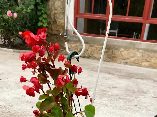 Albergue De Peregrinos El Convento Auberge de jeunesse Santillana del Mar